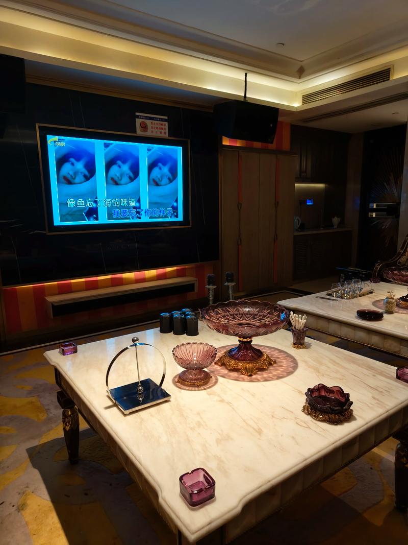 哈尔滨商务ktv商务ktv预订推荐-松北区ktv预定